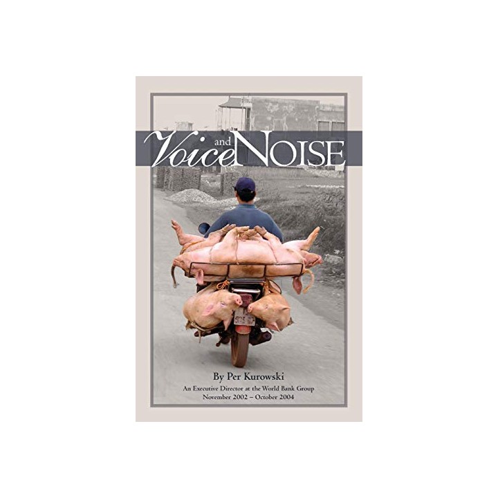 Voice and Noise - Per Kurowski